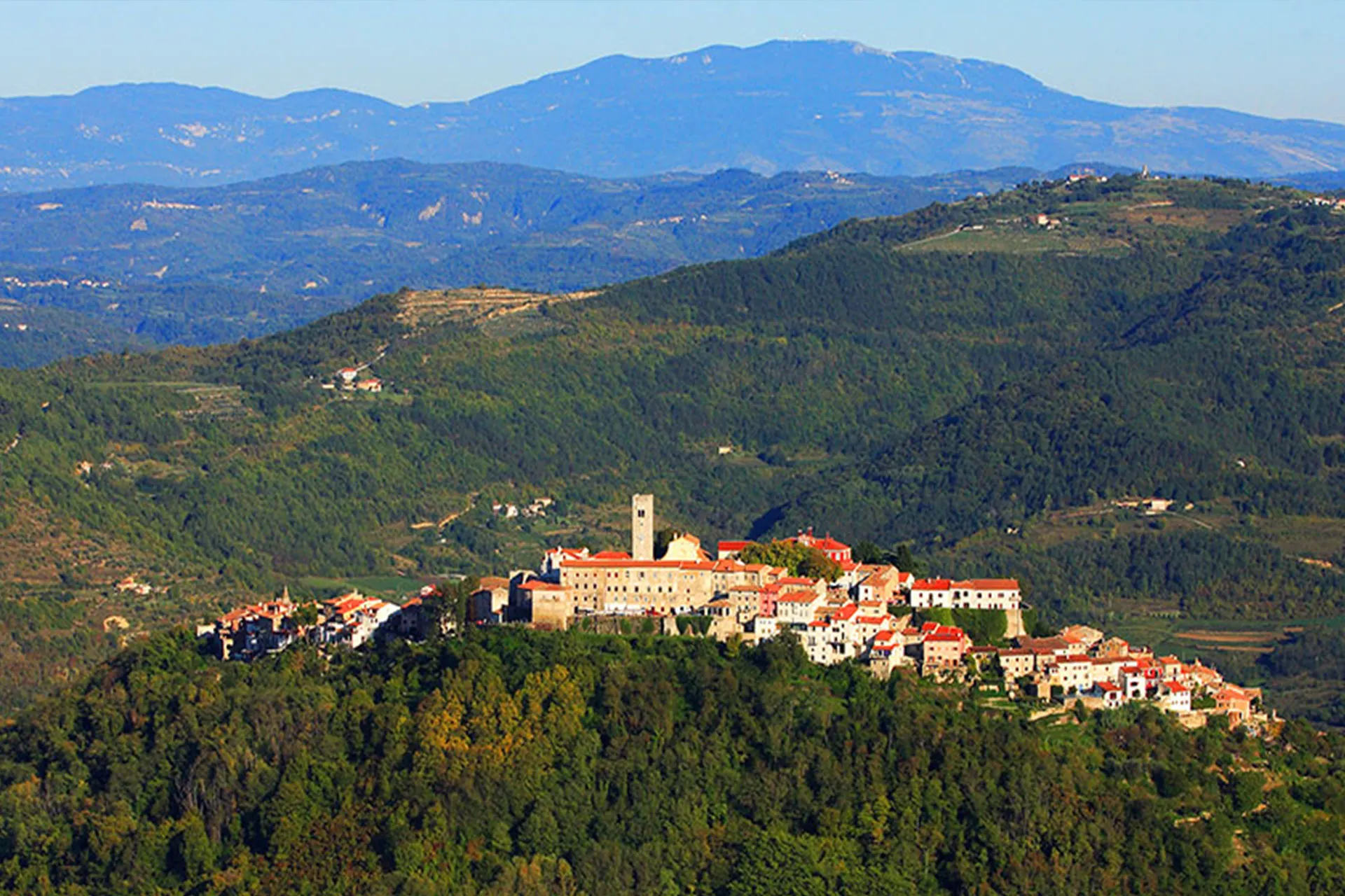 panoramic view of motovun town on top of the hill