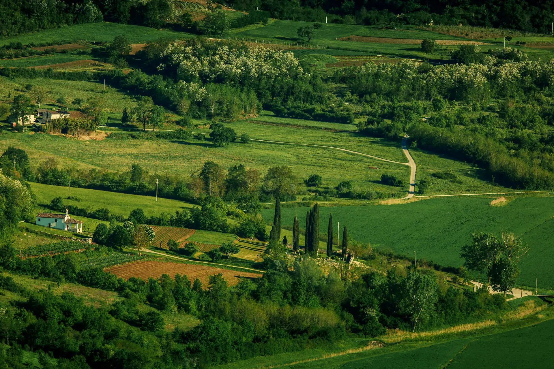 view from villa Motovun on the grren fields and forests surrounding the town